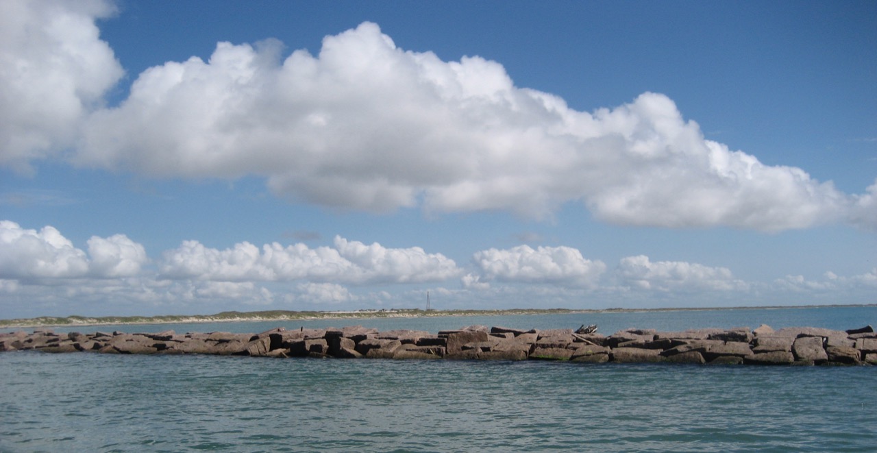 an image with no alt text